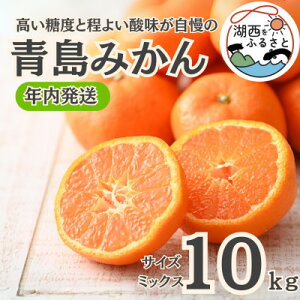 yӂ邳Ɣ[ŁzyNzy12{菇oח\z݂10kgTCY~bNXkؔ_ly1510113z