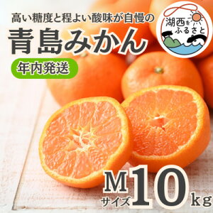 yӂ邳Ɣ[ŁzyNzy12{菇oח\z݂10kg MTCYkؔ_ly1510115z