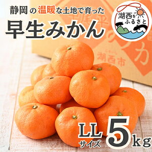 yӂ邳Ɣ[Łzys\zy11{菇oח\z݂5kg LLTCYkؔ_ly1510120z