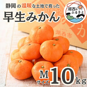 yӂ邳Ɣ[Łzys\zy11{菇oח\z݂10kg MTCYkؔ_ly1510127z