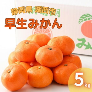 【ふるさと納税】【2025年11月発送開始】浜名湖の「早生みかん」5kg【1537440】