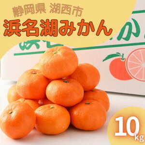 【ふるさと納税】【2025年12月発送】浜名湖の「普通温州みかん」10kg【1537443】