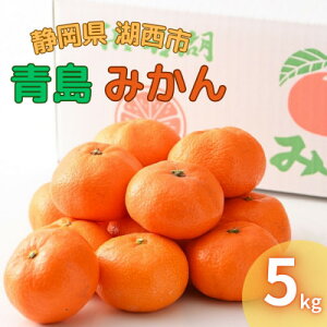 【ふるさと納税】【2026年1月発送】浜名湖の「青島みかん」5kg 【1537448】