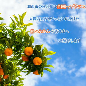 yӂ邳Ɣ[Łz[󂠂]y2026N1{菇\z݂ 10kgTCY~bNXy1575319z