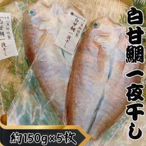 【ふるさと納税】【遠州灘産】白甘鯛の一夜干し 約150g×5枚【配送不可地域:離島】【1587703】
