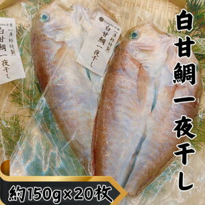 yӂ邳Ɣ[ŁzyBYzÑ̈銱@150g×20yzsnFzy1587743z
