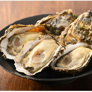 yӂ邳Ɣ[ŁzlΎY yuvہvނg 500g×2 `Ṽuhyuvہv` MpyzsnFzy1691978z