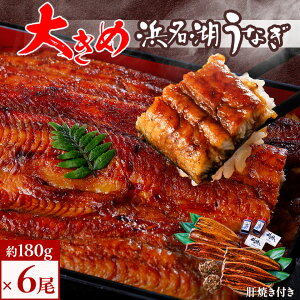 yӂ邳Ɣ[ŁzHiYsgp l΂Ȃ  6 (180g×6) 傫ȂȂŎmmł! ̏Ă t_ Ȃ V EiM y   lC  ӂ邳 É ΐ