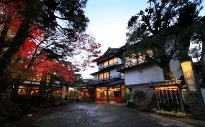 ふるさと納税 C 019 修善寺温泉 新井旅館 個室で休憩 昼食会席と日帰り入浴ペア券 的詳細資料 日本商品代購 From Japan