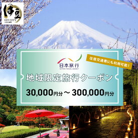 【ふるさと納税】静岡県伊豆市 日本旅行 地域限定旅行クーポン (選べる/30,000円分・60,000円分・90,000円分・150,000円分・300,000円分) / 楽天 修善寺 土肥 天城 修善寺 温泉 旅館 宿 宿泊 ホテル 補助券 チケット クーポン 旅行 トラベル 観光