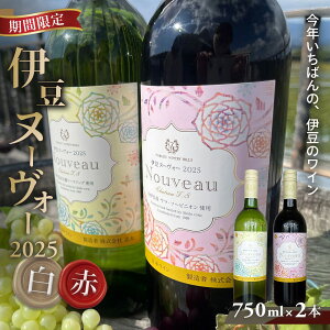 yӂ邳Ɣ[ŁzԌ11/30܂ŁIɓk[H[2025igZbgj750ml×2{ɓCi[bC YC  Â _ MZ[XO }E\[rjI   Mt