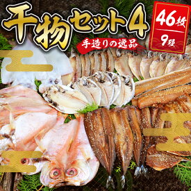 【ふるさと納税】 干物セット4 (9種46枚) 伊豆 土肥 水天丸水産 ひもの 干物 開き ひらき 冷蔵 詰め合わせ セット 特産 特産品 お取り寄せ お取り寄せグルメ 贈り物 ギフト 海鮮 魚介 魚 肴 魚介 シーフード おかず 和食 自家製 手作り 静岡県 伊豆市 [070-001]