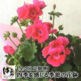 【ふるさと納税】【 全4回 定期便 】季節の花鉢 052-001
