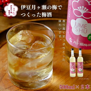 yӂ邳Ɣ[Łz ~ 500ml×2{Zbg (ϔEbsO) / ɓ  EV ~  E ʎ L[   n m r  Y 蕨 Mtg É ɓs [0
