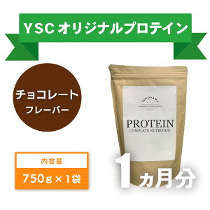 yӂ邳Ɣ[Łz YOKOHAMA STRENGTH & CONDITIONING PROTEIN COMPLETE NUTRITION@1 zGCveCpE_[ `R[g hN eiX zGC N  ێ 020-016