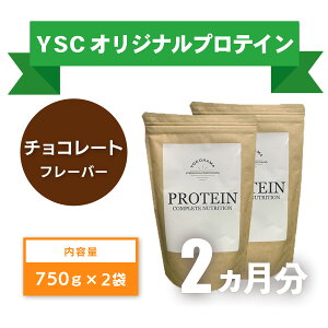 yӂ邳Ɣ[Łz YOKOHAMA STRENGTH & CONDITIONING PROTEIN COMPLETE NUTRITION@2 zGCveCpE_[ `R[g hN eiX zGC N  ێ 039-002