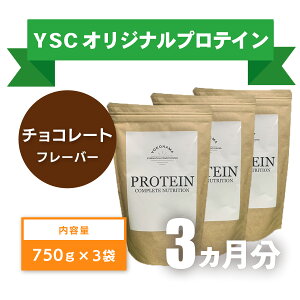 yӂ邳Ɣ[Łz YOKOHAMA STRENGTH & CONDITIONING PROTEIN COMPLETE NUTRITION@3 zGCveCpE_[ `R[g hN eiX zGC N  ێ@057-001