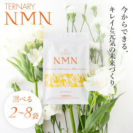 【ふるさと納税】 ターナリ—NMN（60粒入パウチ） (選べる個数/2個・4個・8個) | nmn サプリ サプリメント 国内製造 高純度 耐酸性 年齢 食事 飲みやすい カプセル タブレット 健康 国内 次世代 エイジングケア ビタミンA ビタミンC ビタミンE NAD 静岡県 伊豆市 静岡 伊豆