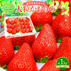 yӂ邳Ɣ[Łzsty2026N2{ȍ~\zúv嗱@Zbg 1kg@_ƒI@ʌ |  ʕ t[c  lC Ԍ  Hi lC  