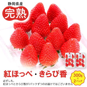 yӂ邳Ɣ[ŁzstyÉYzngق؁Eҍ2pbNZbgi300g×2pbNjy2026N1{ȍ~\z |  C`S gق ҍ ÉY t[c 