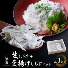 【ふるさと納税】【今だけ増量中！】冷凍生しらす＋釜揚げしらすセット 約1kg（生しらす100g × 5・釜揚げしらす70g × 7）静岡県御前崎産 しらす丼 小分け 個包装 便利 大容量 徳用 海鮮丼 どんぶり 刺身 | 魚 お魚 さかな 食品 人気 おすすめ 送料無料
