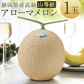 【ふるさと納税】静岡県産 高級 アローマメロン 山等級 1玉 約1.3kg以上 メロン 高級メロン マスクメロン 温室 フルーツ くだもの 果物 化粧箱入 お取り寄せ 国産 静岡県 菊川市 送料無料 【通年受付・発送】
