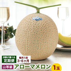 【ふるさと納税】【選べる定期便】静岡県産 高級アローマメロン 山等級 1回あたり1玉（約1.3kg以上） 1ヶ月毎 3回～12回 メロン 高級メロン マスクメロン 温室 フルーツ くだもの 果物 果実 デザート 化粧箱入 お取り寄せ 国産 静岡県 菊川市 送料無料【通年受付・発送】