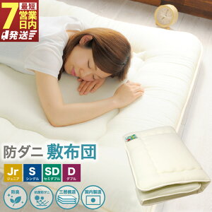 yӂ邳Ɣ[ŁzTCYIׂ h_j ~zc WjA/VO/Z~_u/_u { ~zc zc ӂƂ Q YQ i R hL Ow\ ł킽^Cv ۉ e͐ 