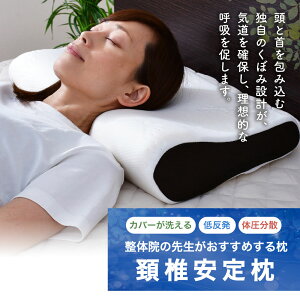 yӂ邳Ɣ[Łz̉@̐搶߂閍 ň 12000~ 12000~ ܂  s[ Q ᔽ ᔽE^ E^ тy pJo[t QΉ ʋC Lk 