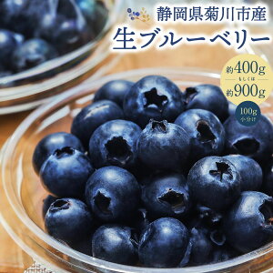 yӂ邳Ɣ[ŁzyIׂeʁzu[x[ 400gi100g×4pbNj 900gi100g×9pbNjY u[x[ 嗱 t[c ʕ   ① É es 