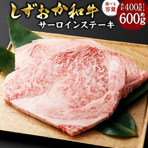 yӂ邳Ɣ[Łza T[CXe[L v 400g  600g a    T[C Xe[L Xe[L Xe[Lp Ⓚ  O Y ÉY É 