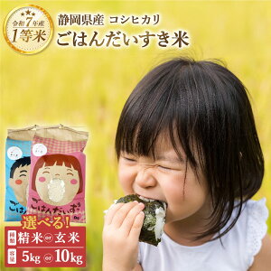 【ふるさと納税】<選べる種類・内容量>【令和7年産】静岡県産 コシヒカリ 精米・玄米 5kg(5kg×1袋)・10kg(5kg×2袋) お米 米 単一原料米 ご飯 お弁当 おにぎり 国産 静岡県 菊川市 送料無