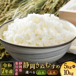 【ふるさと納税】<選べる種類・内容量・発送時期>【令和7年産】菊川市産 静岡きぬむすめ 白米 / 玄米 5kg×1袋 / 10kg×1袋 お米 こめ 精米 単一原料米 ごはん ご飯 お弁当 おにぎり 静岡県産