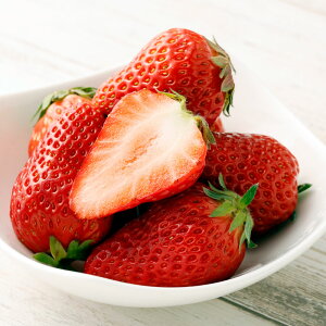 yӂ邳Ɣ[Łzgق؁X^[iCgA\[g A ϔ v1.2kgi300g×v4pbNie2pbNjj  C`S  t[c ʕ ① É es  y2025N