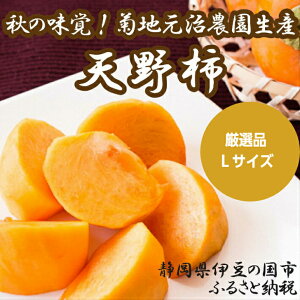 yӂ邳Ɣ[ŁzIi en_̓V` LTCY 14 ^ ʕ   JL  Mtg v[g s\ Ԍ ɓ ɓ̍ É É