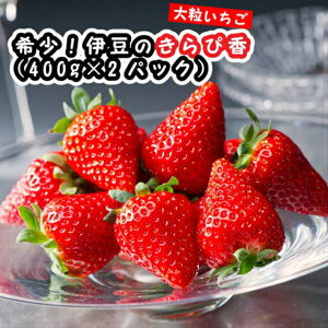 yӂ邳Ɣ[Łzyʌz󏭂IYn ɓ̂ҍi400g×2pbNj ^ ʕ t[c C`S  Ԍ ɓ̍ É É