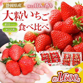 【ふるさと納税】【先行予約/数量限定】名産地伊豆のきらぴ香・紅ほっぺ食べ比べセット（約400g×4パック） ／ 果物 フルーツ いちご イチゴ 苺 期間限定 希少 伊豆の国 静岡 静岡県