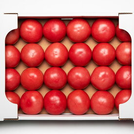 【ふるさと納税】伊豆の国産！大玉トマト（4kg） ／ 野菜 とまと 桃太郎 ハウス桃太郎 産地直送 伊豆の国 静岡 静岡県