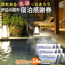 【ふるさと納税】 伊豆の国市宿泊感謝券（5000円×24枚） ／ 旅行 伊豆 温泉 体験 旅行券 チケット 旅館 ホテル キャンプ トラベル 伊豆の国 静岡県 静岡 国内