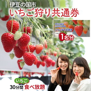 yӂ邳Ɣ[Łzɓ̍s苤ʌi1lj ^ ̌ ό  C`S `Pbg 30 Hו gق ͕P Ђ ݍ͔| W[V[ ɓ̍ É É 