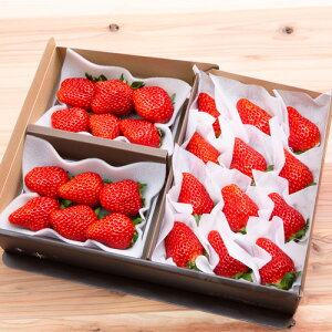 yӂ邳Ɣ[ŁzyʌzMtggق x[YZbg ^ ʕ t[c  C`S  嗱 ʎ IWiϔ Ԍ ɓ̍ É É