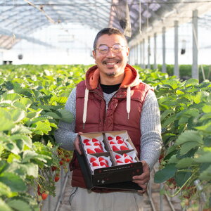 yӂ邳Ɣ[Łzyցzӂ邳Ɣ[łi I WTx[ ō4 ^ ʕ t[c gق Hi Zbg  C`S  W \x ACX Ⓚ Ԍ 