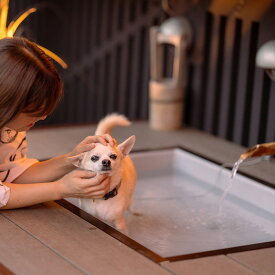 【ふるさと納税】愛犬と寛ぐ大人の隠れ宿　八の坊　全客室対応　宿泊補助券（30,000円分） ／ 旅行 伊豆 温泉 愛犬 犬 足湯 ドッグラン ペット可 体験 旅行券 チケット 旅館 トラベル 伊豆の国 静岡県 静岡 国内