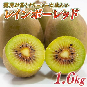 yӂ邳Ɣ[Łz LEC 1.6kg t[c ʕ XC[c C{[bh LEC  C{[ bh LEC Yn  fU[g Mtg v[g  Y _ É