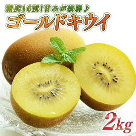 【ふるさと納税】 ゴールドキウイ 2kg 選べる 訳あり フルーツ 果物 スイーツ ゴールド キウイ きうい ゴールド キウイ 産地直送 くだもの デザート ギフト プレゼント 果実 スイーツ デザート 贈答 国産 落合農園 静岡県 牧之原市