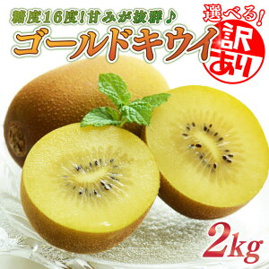 yӂ邳Ɣ[Łz LEC 2kg Iׂ 󂠂 t[c ʕ XC[c S[h LEC  S[h LEC Yn  fU[g Mtg v[g ʎ XC[c fU[g  