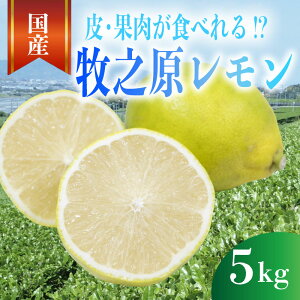yӂ邳Ɣ[Łz Ot  2.5~5kg Iׂ e  EG Lemon k k t[c ʕ _ς ʓ _ Â ̍ hܕsgp qV É qVs