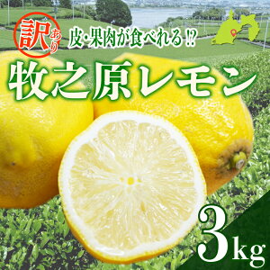 yӂ邳Ɣ[Łz 󂠂背 3kg 킯  EG Lemon k k t[c ʕ _ς ʓ _ Â ̍ hܕsgp qV É qVs ʓHׂ 