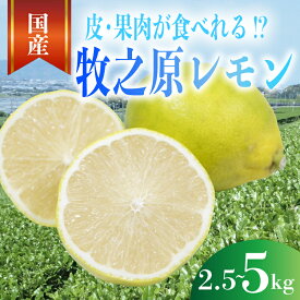 【ふるさと納税】 事前受付 レモン 2.5〜5kg 選べる 内容量 国産 れもん 檸檬 Lemon 柑橘類 柑橘 フルーツ 果物 酸っぱい 果肉 酸味 甘み 璃の香 防腐剤不使用 牧之原レモン 静岡県 牧之原市