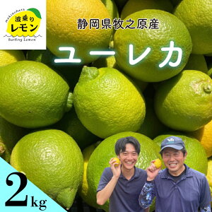 yӂ邳Ɣ[Łz Ot qVY g背 [J [ꂩ 1~2kg Y Lemon EG k k t[c ʕ _ς ʓ _ hܕsgp É qVs